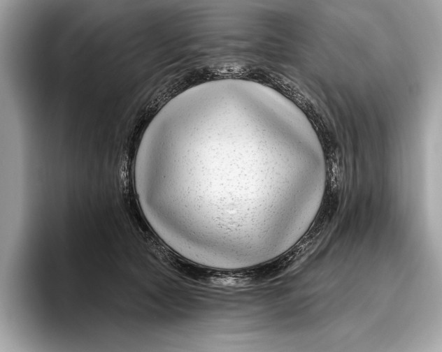 X0000096430561200802141434