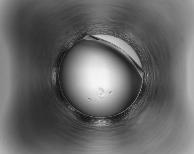 X0000096430562200802141434