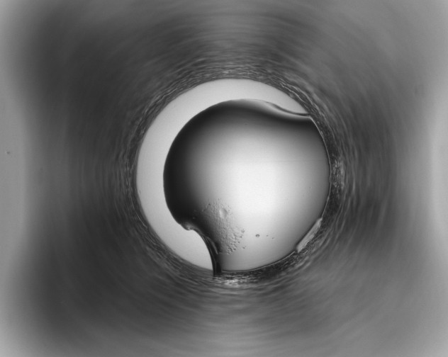 X0000096430564200802141434