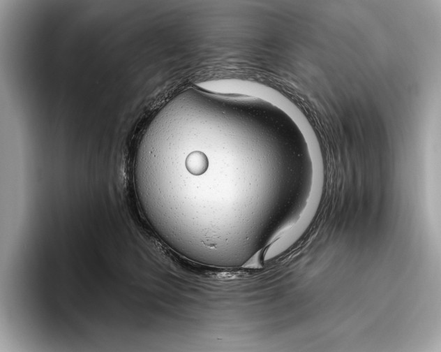 X0000096430566200802141434