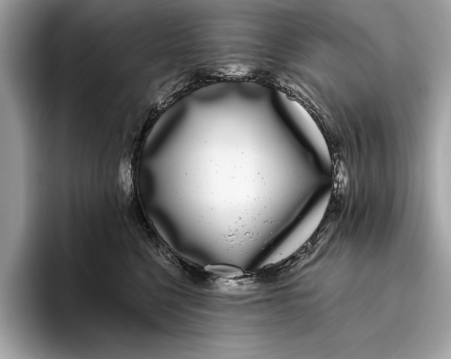 X0000096430568200802141434