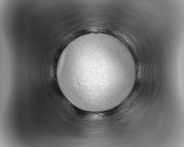 X0000096430569200802141434