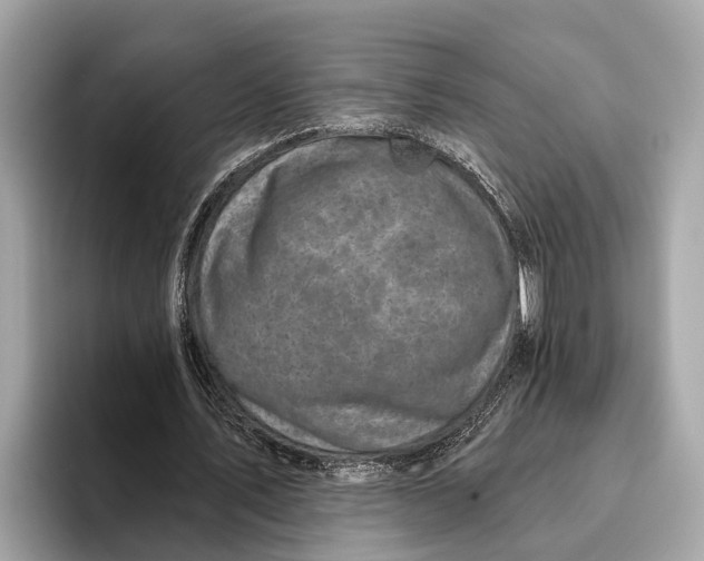 X0000096430579200802141433