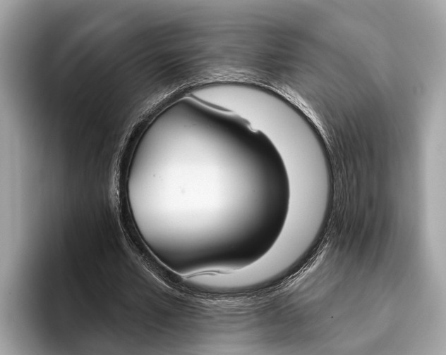X0000096430581200802141433