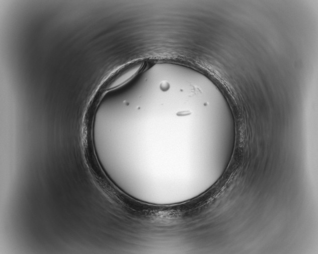 X0000096430584200802141433