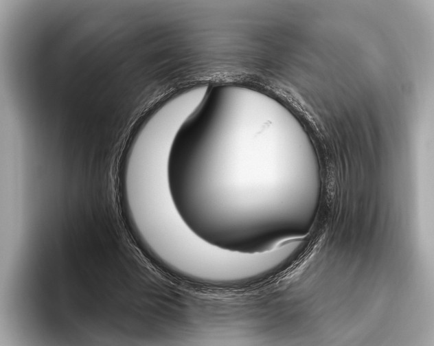 X0000096430585200802141433