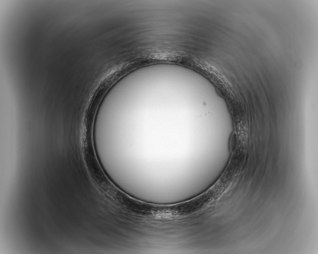 X0000096430587200802141433