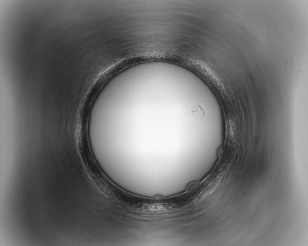 X0000096430588200802141433