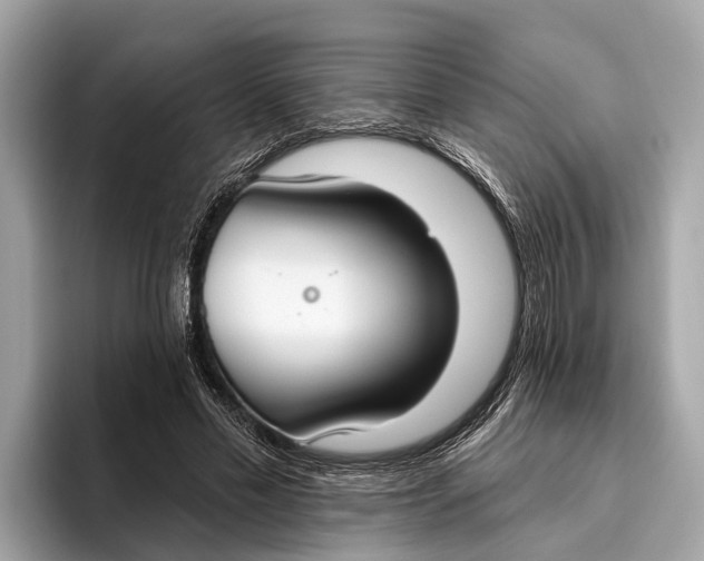X0000096430589200802141433