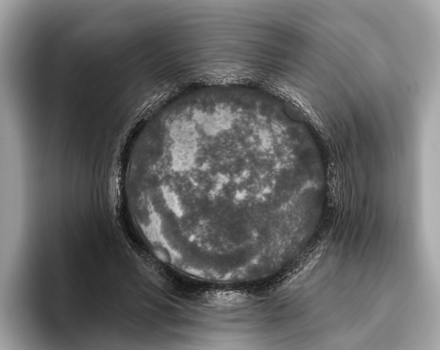 X0000096430590200802141433
