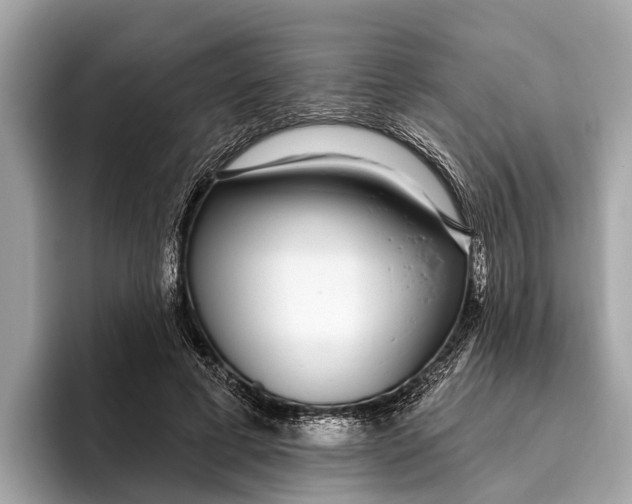 X0000096430593200802141433