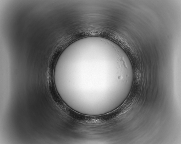 X0000096430594200802141433