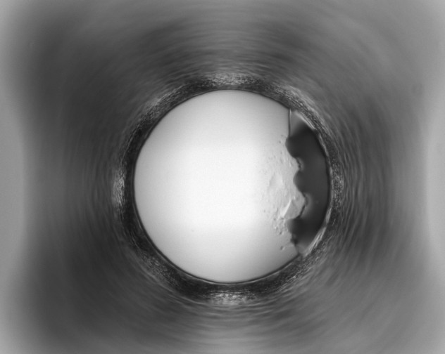 X0000096430596200802141433