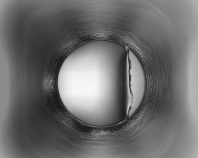 X0000096430597200802141433