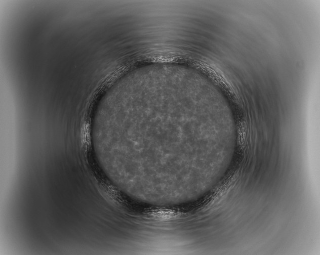 X0000096430598200802141433