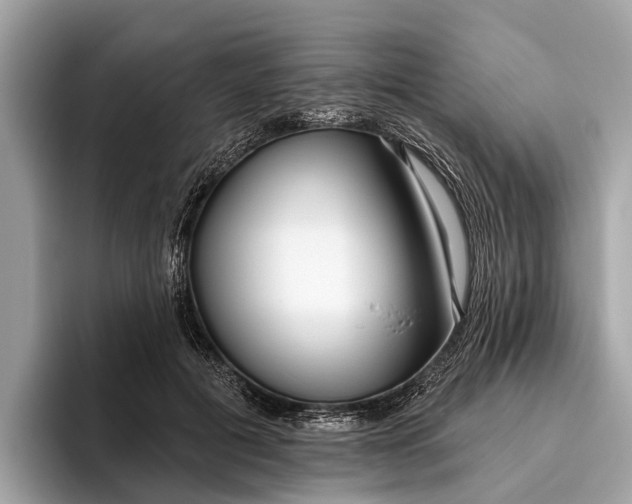 X0000096430601200802141433