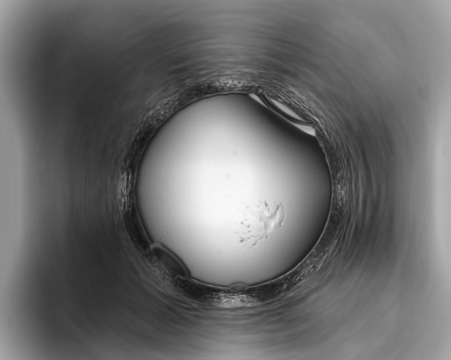 X0000096430605200802141433