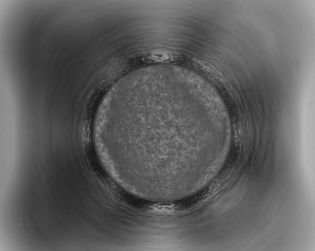 X0000096430606200802141433