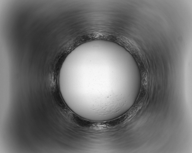 X0000096430607200802141433