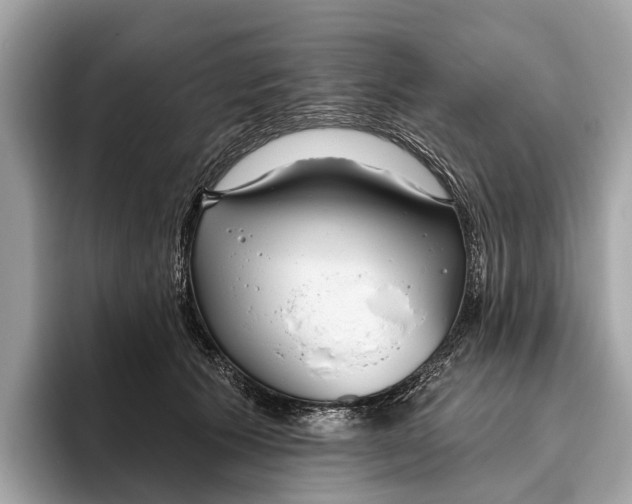 X0000096430609200802141433