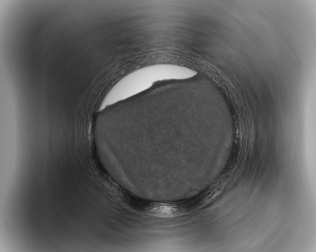 X0000096430610200802141433