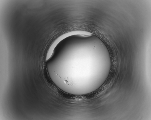 X0000096430612200802141433