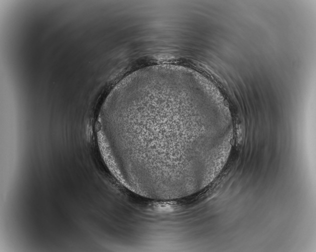 X0000096430618200802141433