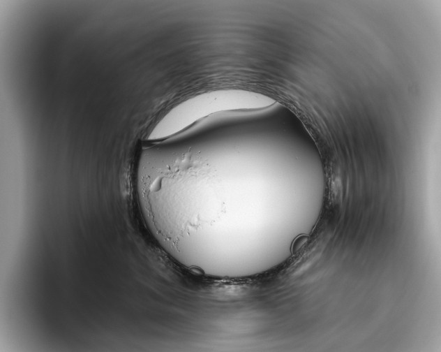 X0000096430620200802141433
