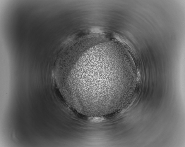 X0000096430621200802141433