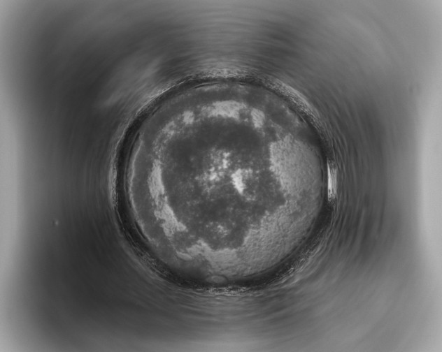 X0000096430627200802141432