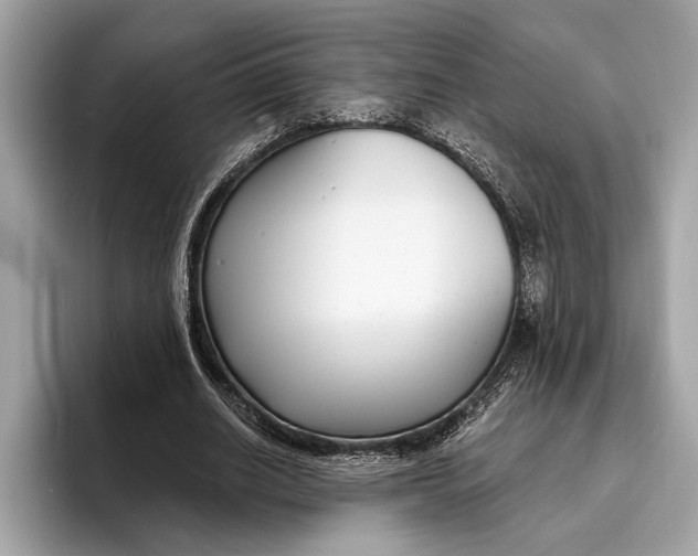 X0000096430630200802141432