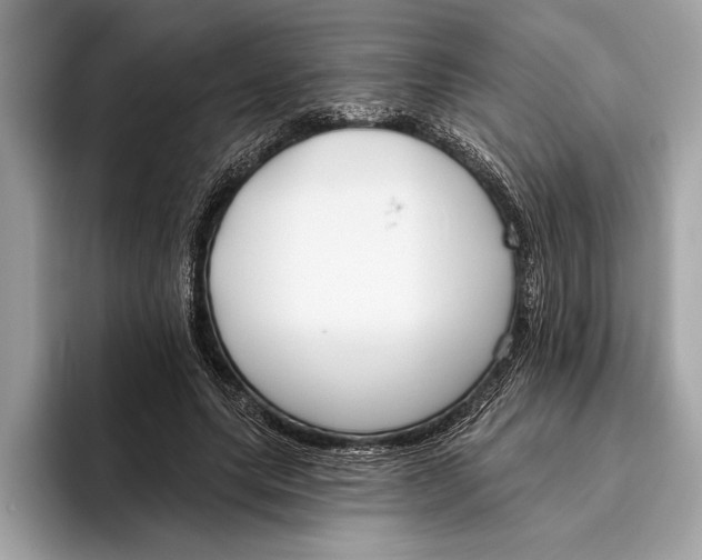 X0000096430639200802141432