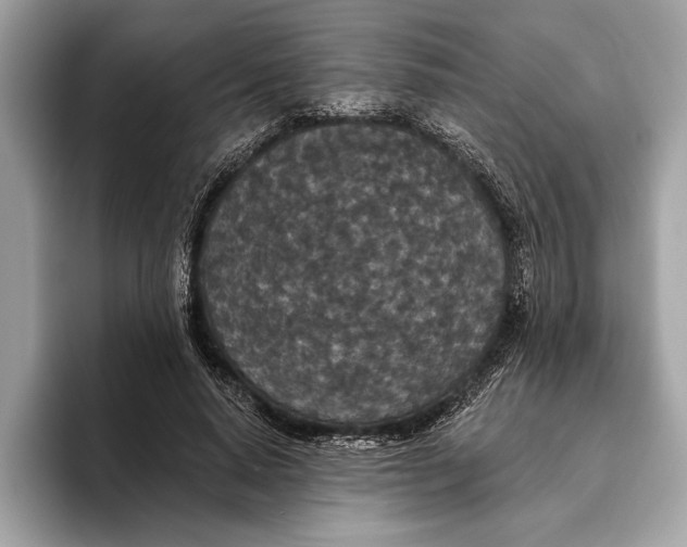 X0000096430640200802141432