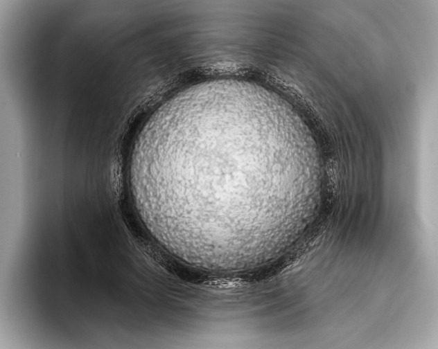 X0000096430642200802141432