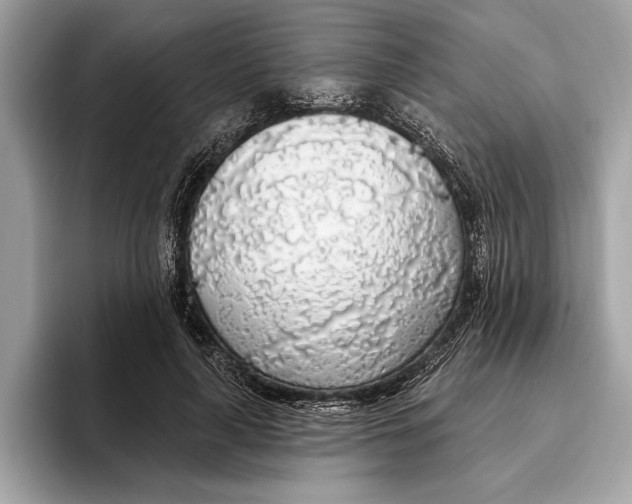 X0000096430643200802141432