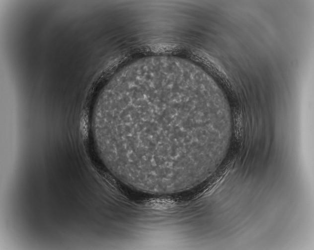 X0000096430644200802141432