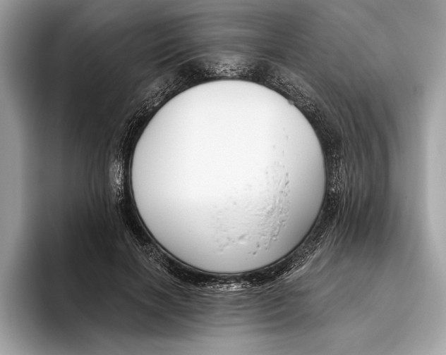 X0000096430646200802141433