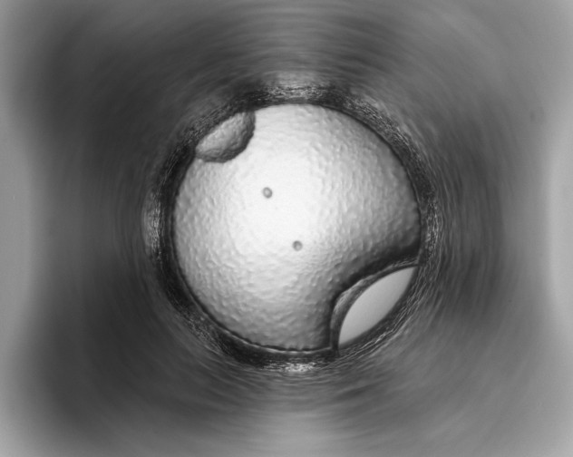 X0000096430647200802141433