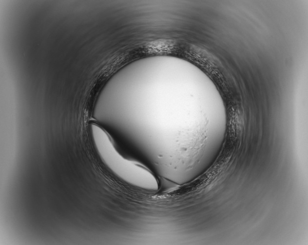 X0000096430649200802141433