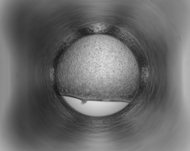X0000096430650200802141433