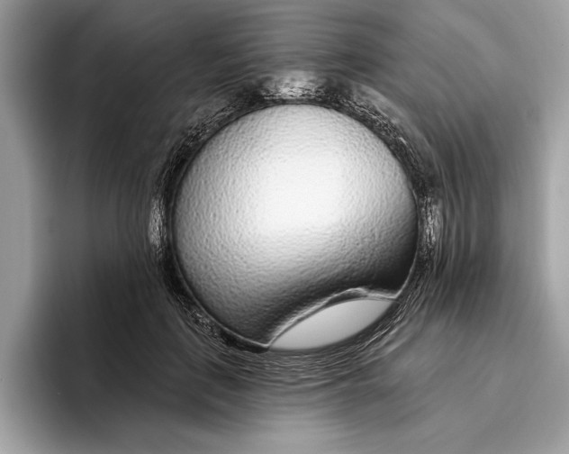 X0000096430651200802141433