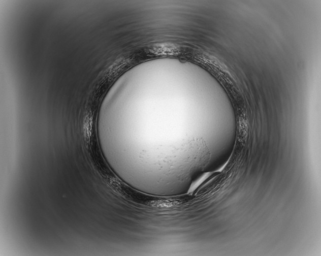 X0000096430652200802141433
