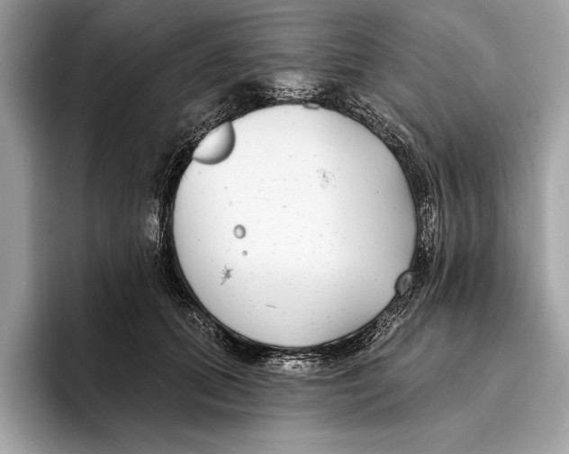 X0000096430655200802141433