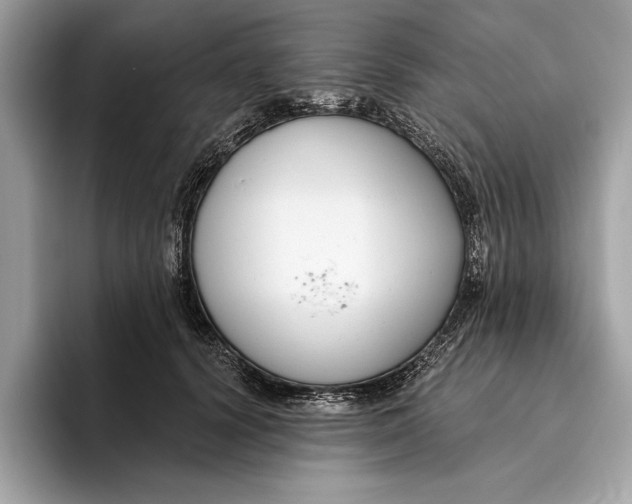 X0000096430656200802141433