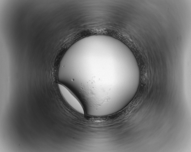 X0000096430658200802141433