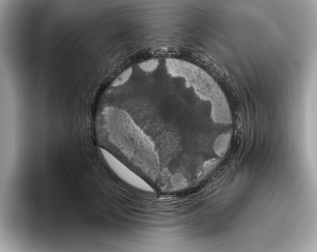 X0000096430659200802141433