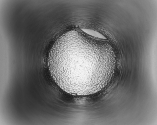 X0000096430661200802141433
