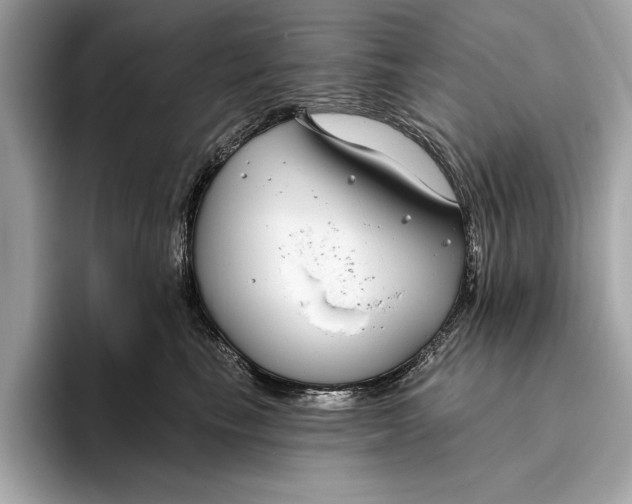 X0000096430665200802141433