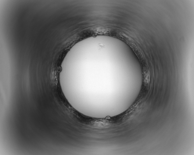 X0000096430666200802141433