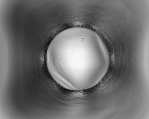 X0000096430668200802141433